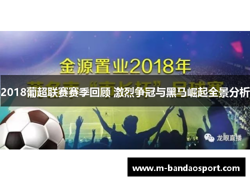 2018葡超联赛赛季回顾 激烈争冠与黑马崛起全景分析