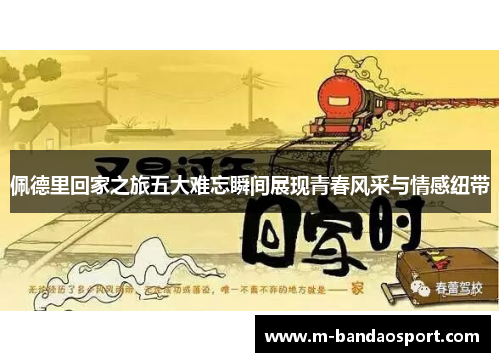 佩德里回家之旅五大难忘瞬间展现青春风采与情感纽带