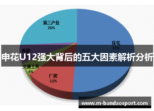 申花U12强大背后的五大因素解析分析