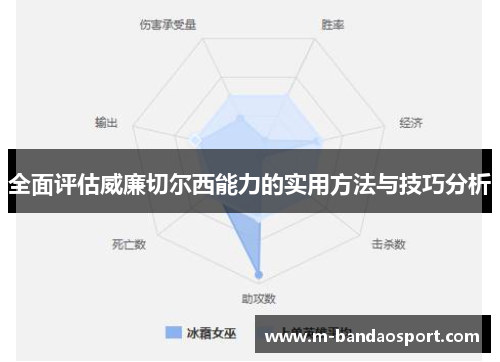 全面评估威廉切尔西能力的实用方法与技巧分析