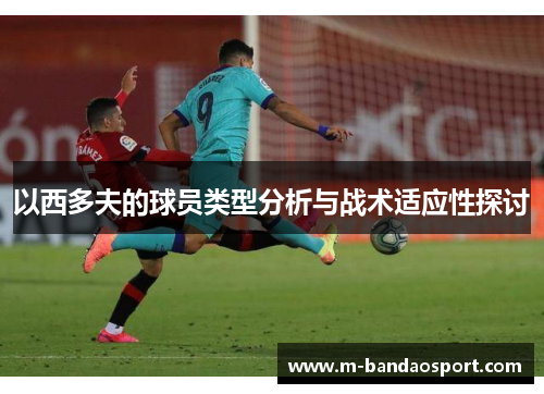 以西多夫的球员类型分析与战术适应性探讨