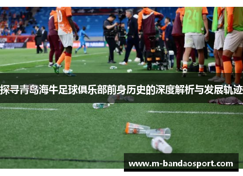 探寻青岛海牛足球俱乐部前身历史的深度解析与发展轨迹