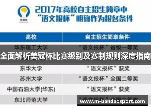 全面解析美冠杯比赛级别及赛制规则深度指南