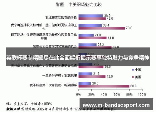 英联杯赛制精髓尽在此全面解析揭示赛事独特魅力与竞争精神